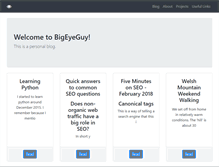 Tablet Screenshot of bigeyeguy.com